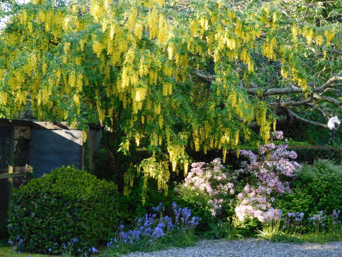 Kilmokea Garden Suite New Ross Esterno foto